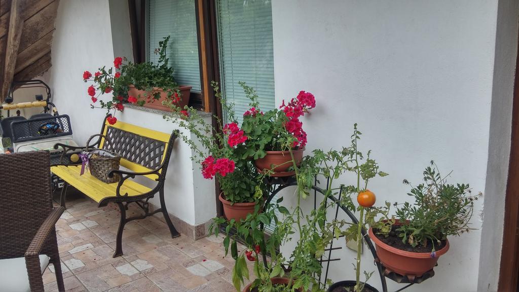 Darja Guesthouse Dob Esterno foto