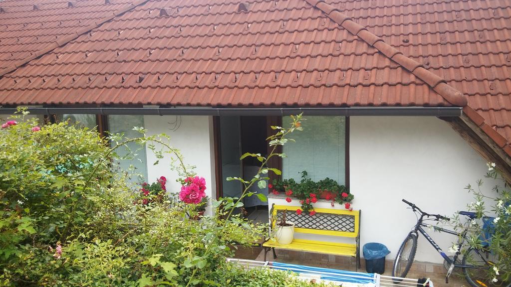 Darja Guesthouse Dob Esterno foto